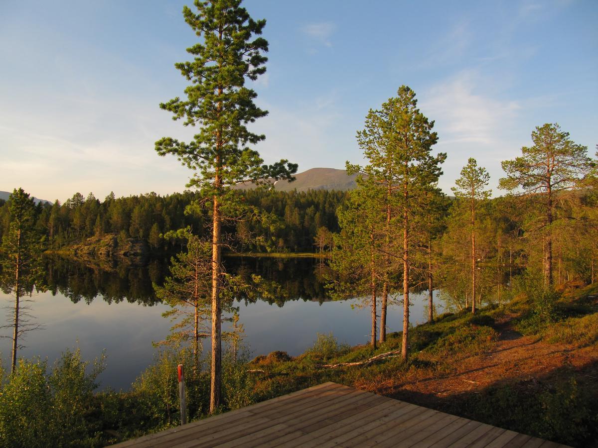Malangen Lodge Mestervik Ngoại thất bức ảnh