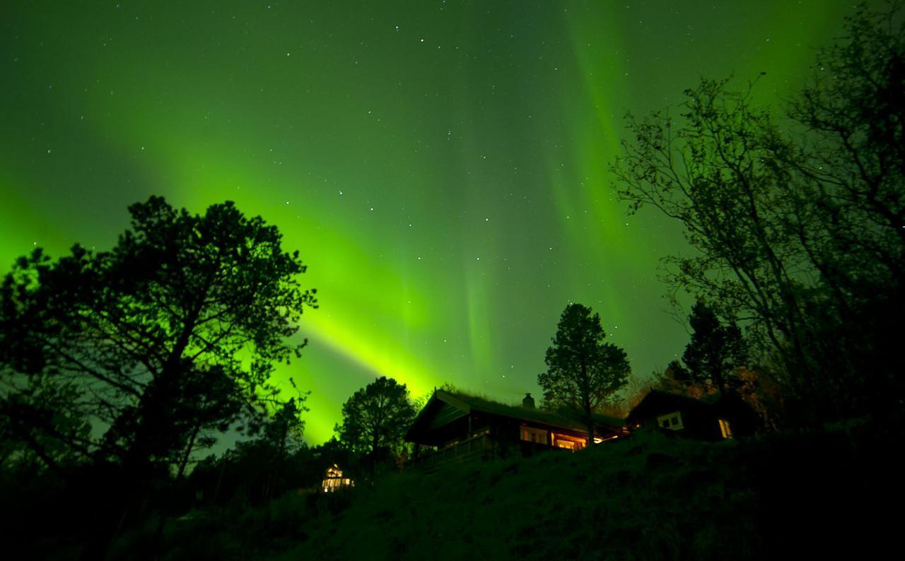 Malangen Lodge Mestervik Ngoại thất bức ảnh