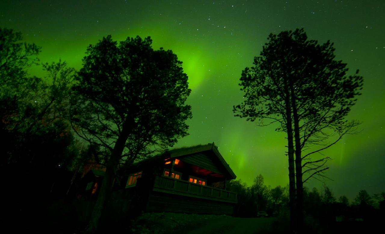 Malangen Lodge Mestervik Ngoại thất bức ảnh