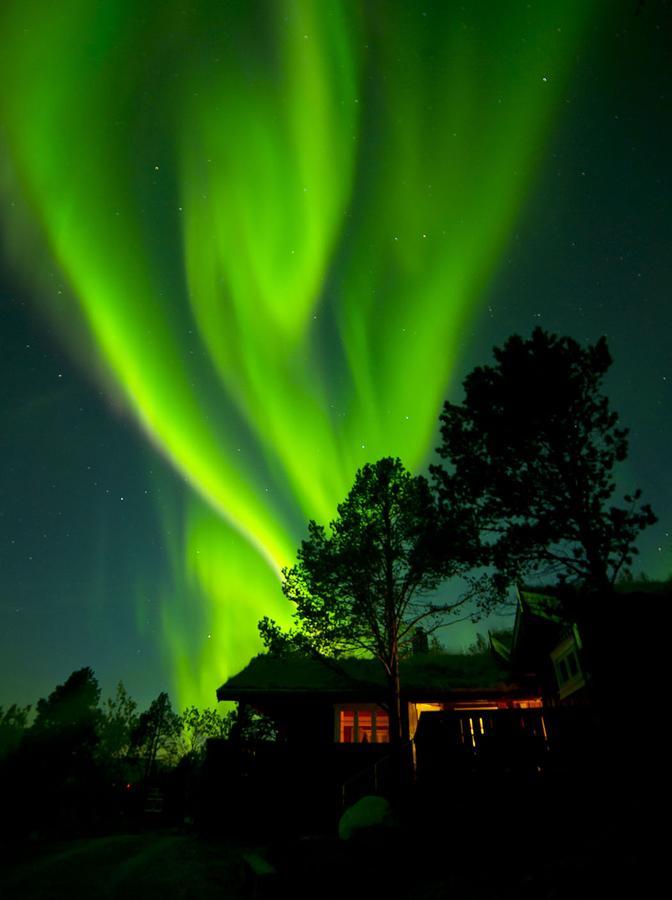 Malangen Lodge Mestervik Ngoại thất bức ảnh