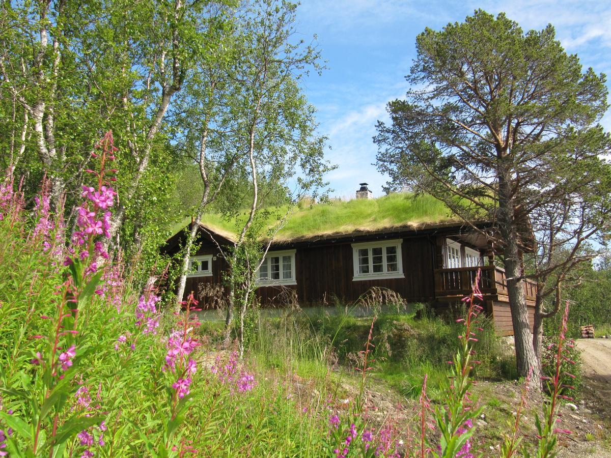 Malangen Lodge Mestervik Ngoại thất bức ảnh