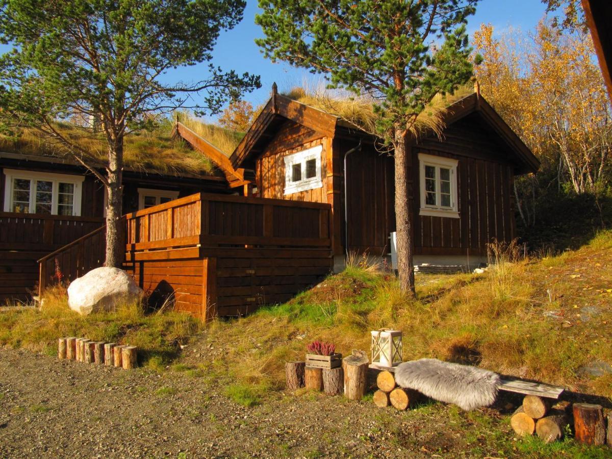 Malangen Lodge Mestervik Ngoại thất bức ảnh
